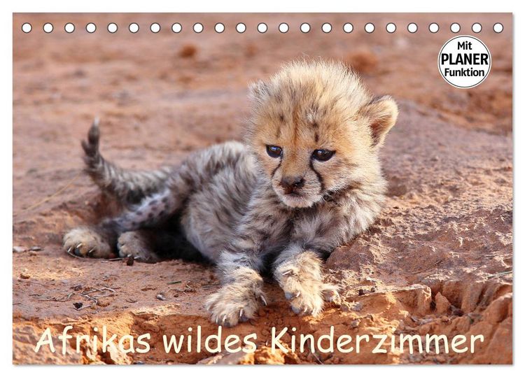 Produktbild: Afrikas wildes Kinderzimmer (Tischkalender 2026 DIN A5 quer), CALVENDO Monatskalender