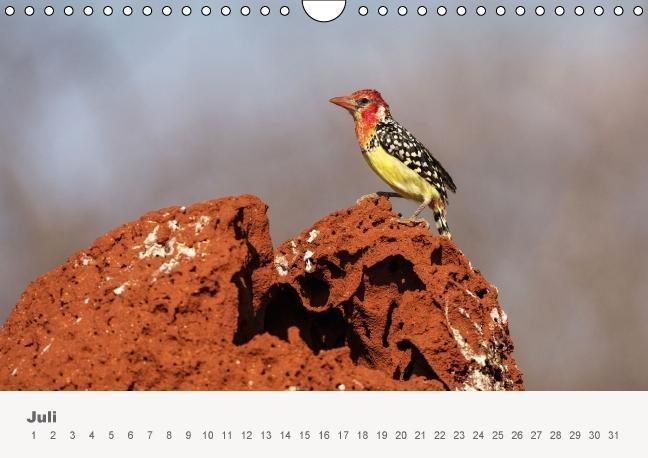 Produktbild: Faszination Ostafrika - Tierwelt und Natur aus Kenia und Tansania (Wandkalender immerw&auml;hrend DIN A4 quer)