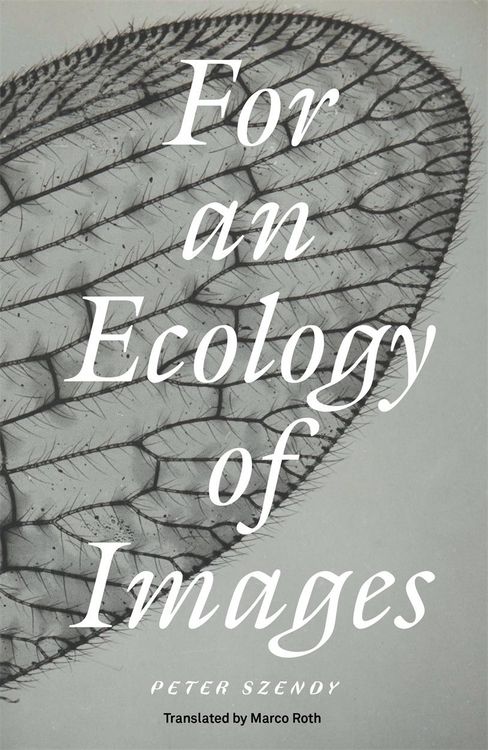 Produktbild: For an Ecology of Images