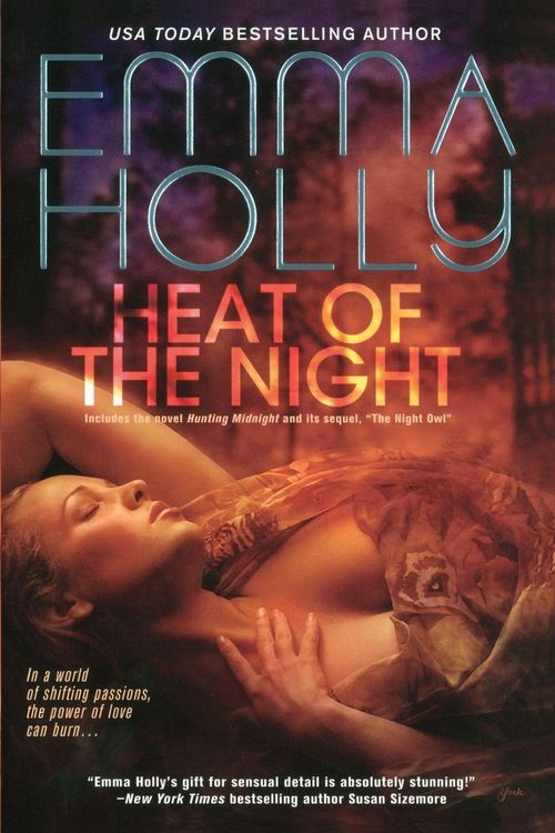 Produktbild: Heat of the Night