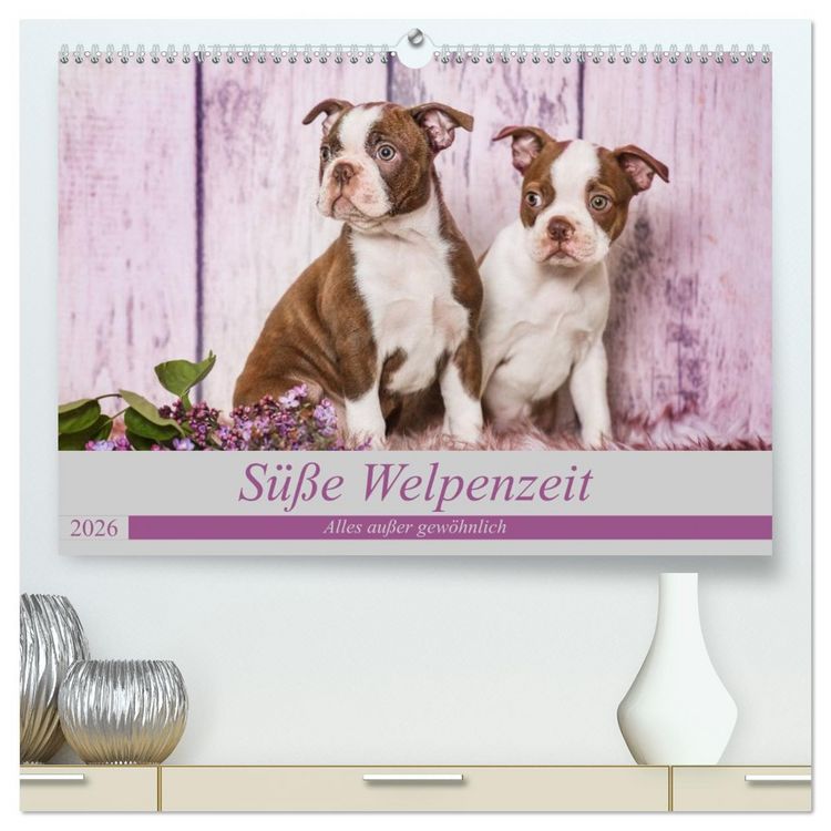 Produktbild: S&uuml;&szlig;e Welpenzeit - Alles au&szlig;er gew&ouml;hnlich (hochwertiger Premium Wandkalender 2026 DIN A2 quer), Kunstdruck in Hochglanz