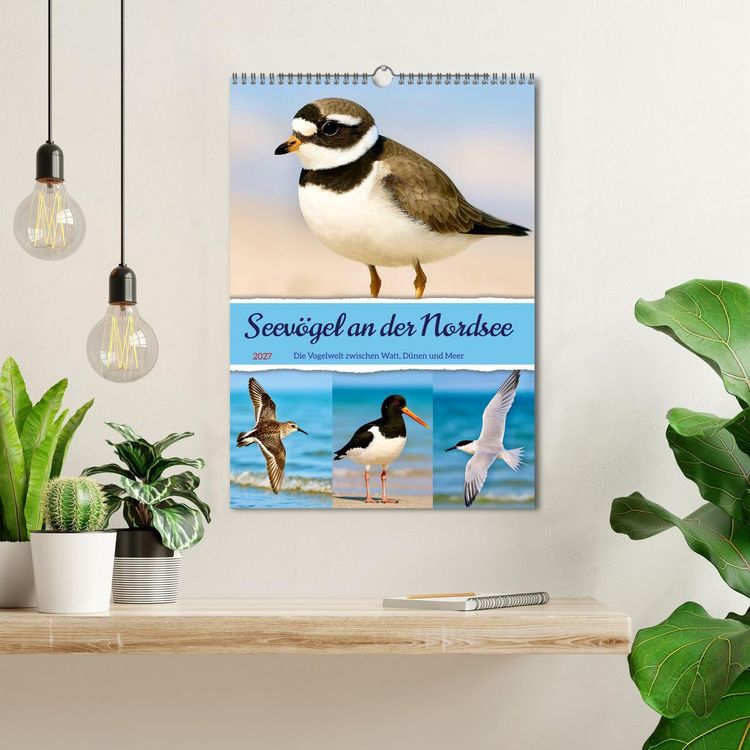 Produktbild: Seev&ouml;gel an der Nordsee (Wandkalender 2027 DIN A3 hoch), CALVENDO Monatskalender
