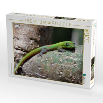 Produktbild: CALVENDO Puzzle Goldstaubgecko, Big Island, Hawaii | 1000 Teile Lege-Gr&ouml;&szlig;e 64x48cm Foto-Puzzle f&uuml;r gl&uuml;ckliche Stunden