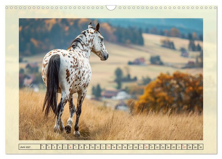 Produktbild: Knabstrupper Poesie. Gescheckte Eleganz im Farmsommer (Wandkalender 2027 DIN A3 quer), CALVENDO Monatskalender