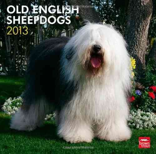 Produktbild: Old English Sheepdogs 2013 Calendar