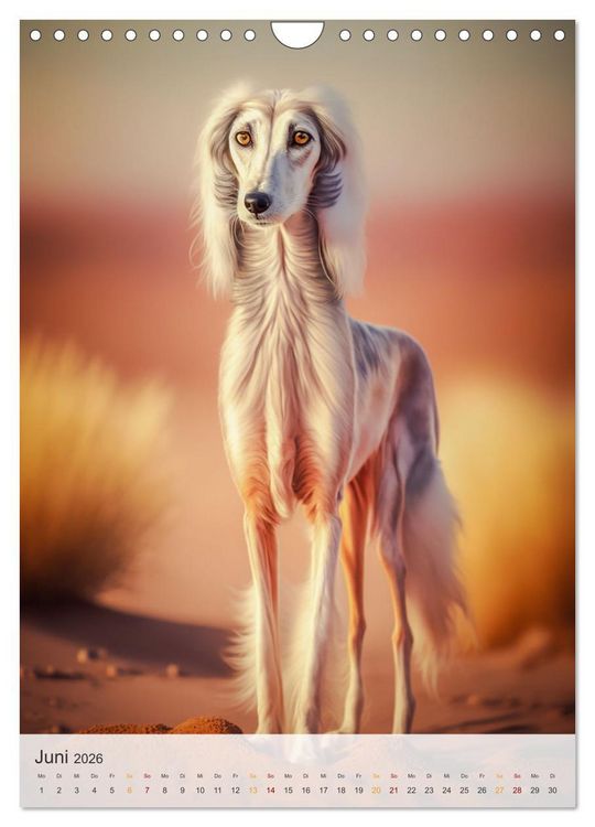 Produktbild: Persischer Windhund (Wandkalender 2026 DIN A4 hoch), CALVENDO Monatskalender