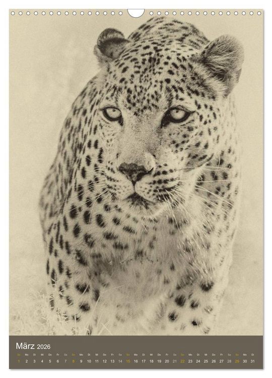 Produktbild: Afrikas Tierwelt - Sepia-Art (Wandkalender 2026 DIN A3 hoch), CALVENDO Monatskalender