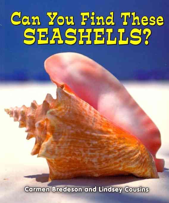 Produktbild: Can You Find These Seashells?