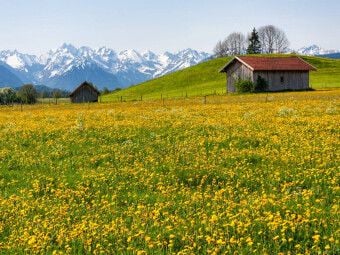 Produktbild: CALVENDO Puzzle Wiese bei Agathazell | 1000 Teile Lege-Gr&ouml;&szlig;e 64x48cm Foto-Puzzle f&uuml;r gl&uuml;ckliche Stunden