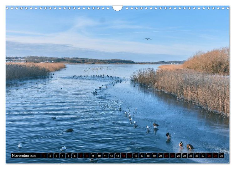 Produktbild: AARHUS, die kleinste Gro&szlig;stadt der Welt (Wandkalender 2026 DIN A3 quer), CALVENDO Monatskalender