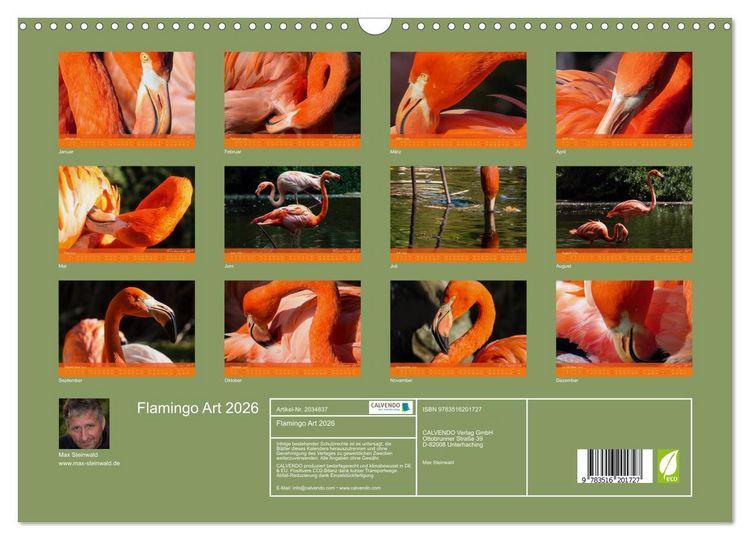 Produktbild: Flamingo Art 2026 (Wandkalender 2026 DIN A3 quer), CALVENDO Monatskalender