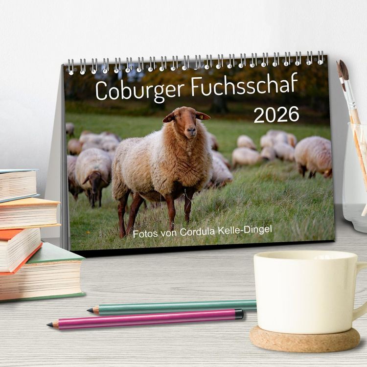 Produktbild: Coburger Fuchsschaf (Tischkalender 2026 DIN A5 quer), CALVENDO Monatskalender