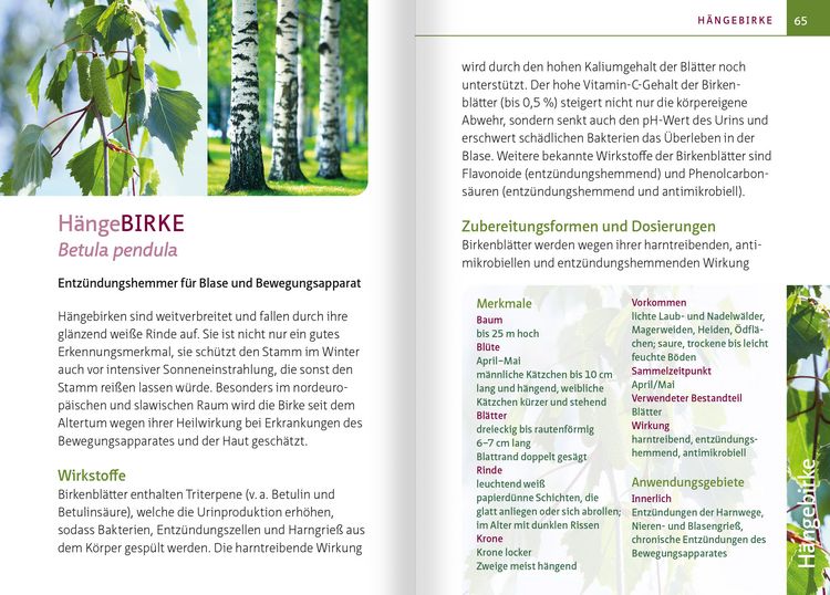 Produktbild: Gr&uuml;ne Hausapotheke f&uuml;r Hunde. Kompakt-Ratgeber