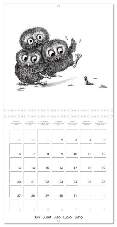 Produktbild: owls and mates 2026 (Wall Calendar 2026 12 &times; 12 Inch) CALVENDO 12 Month Wall Calendar