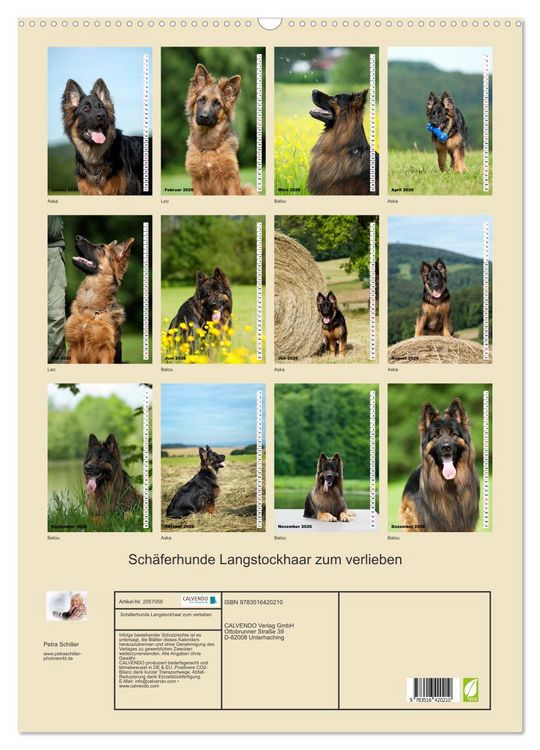 Produktbild: Sch&auml;ferhunde Langstockhaar zum verlieben (Wandkalender 2026 DIN A2 hoch), CALVENDO Monatskalender