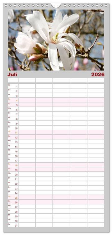 Produktbild: Familienplaner 2026 - Magnolien Ein Bl&uuml;tenrausch mit 5 Spalten (Wandkalender, 21 x 45 cm) CALVENDO