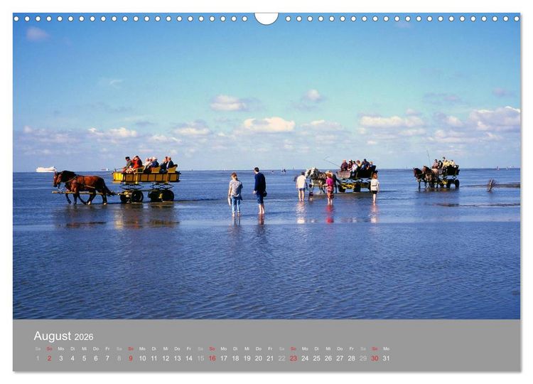 Produktbild: Blick auf die Nord-und Ostsee (Wandkalender 2026 DIN A3 quer), CALVENDO Monatskalender