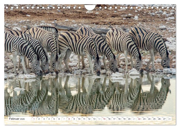 Produktbild: Afrika - Namibia (Wandkalender 2026 DIN A4 quer), CALVENDO Monatskalender