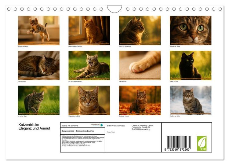 Produktbild: Katzenblicke &ndash; Eleganz und Anmut (Wandkalender 2027 DIN A4 quer), CALVENDO Monatskalender