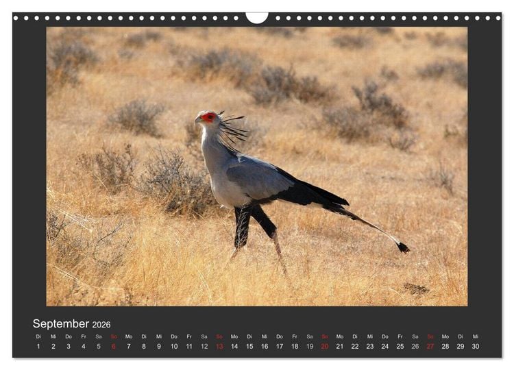Produktbild: Facetten Namibias (Wandkalender 2026 DIN A3 quer), CALVENDO Monatskalender