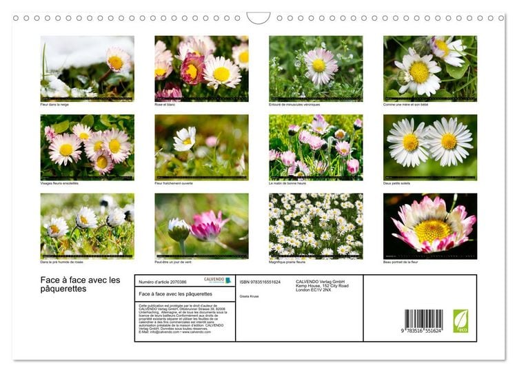 Produktbild: Face &agrave; face avec les p&acirc;querettes (Calendrier mural 2026 DIN A3 vertical), CALVENDO calendrier mensuel