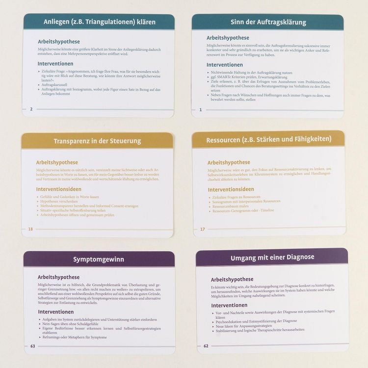 Produktbild: 80 Hypothesen f&uuml;r Systemische Therapie und Beratung