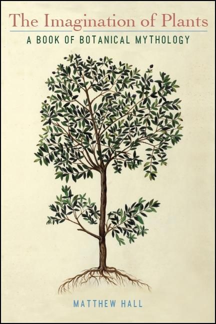 Produktbild: The Imagination of Plants
