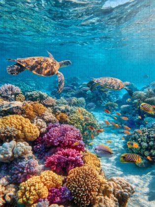 Produktbild: CALVENDO Puzzle Korallenriff mit Meeresschildkr&ouml;ten | 1000 Teile Lege-Gr&ouml;&szlig;e 64x48cm Foto-Puzzle f&uuml;r gl&uuml;ckliche Stunden