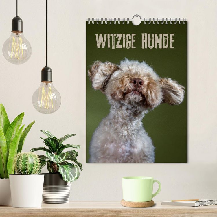 Produktbild: Witzige Hunde (Wandkalender 2026 DIN A4 hoch), CALVENDO Monatskalender