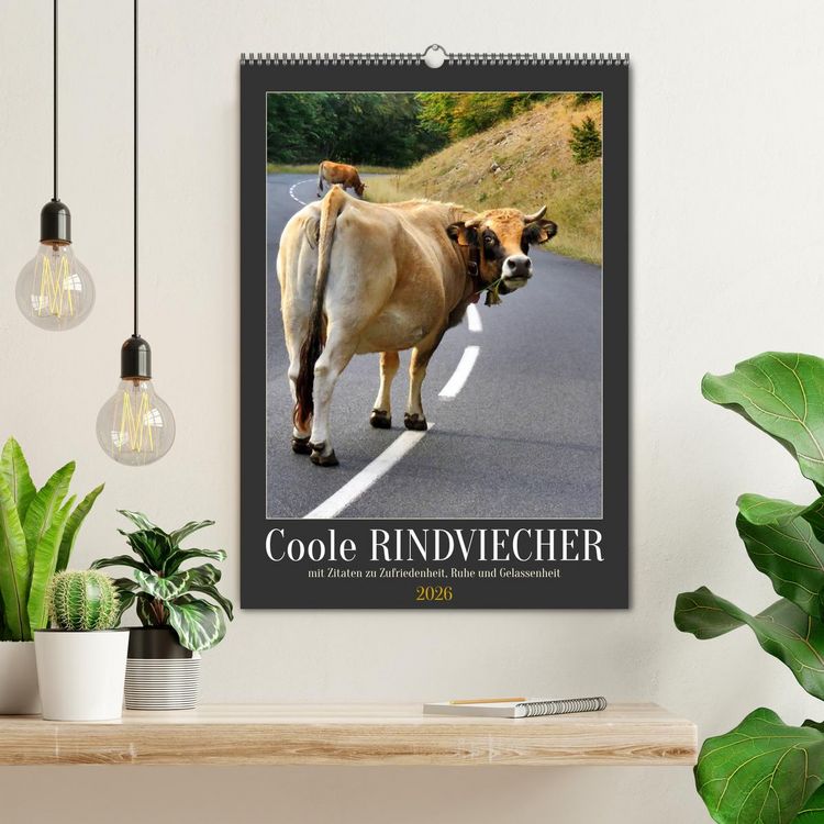 Produktbild: Coole Rindviecher (Wandkalender 2026 DIN A2 hoch), CALVENDO Monatskalender