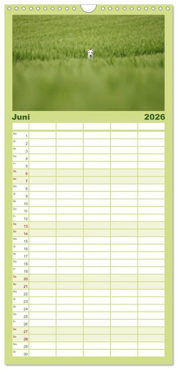 Produktbild: Familienplaner 2026 - Der Windhundekalender mit 5 Spalten (Wandkalender, 21 x 45 cm) CALVENDO