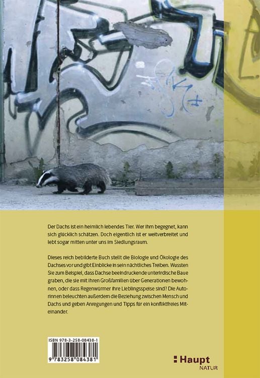 Produktbild: Der Dachs