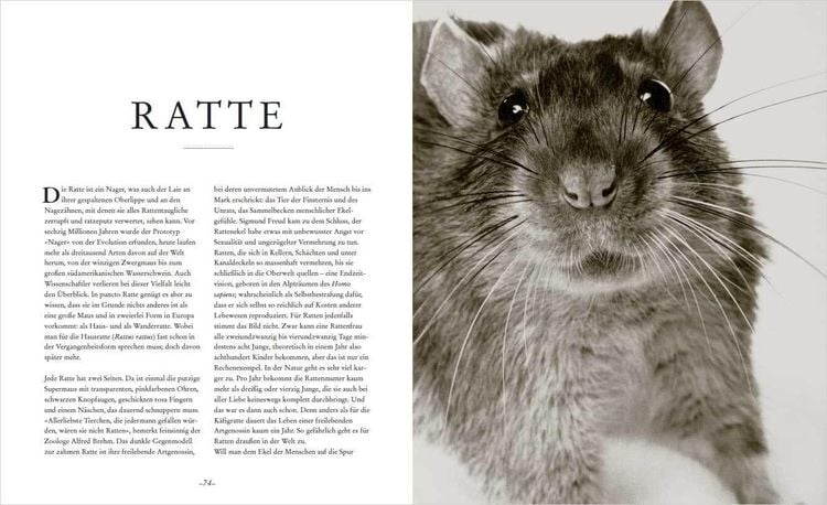 Die Seele der Tiere. Gesichter. Gefühle. Geschichten
