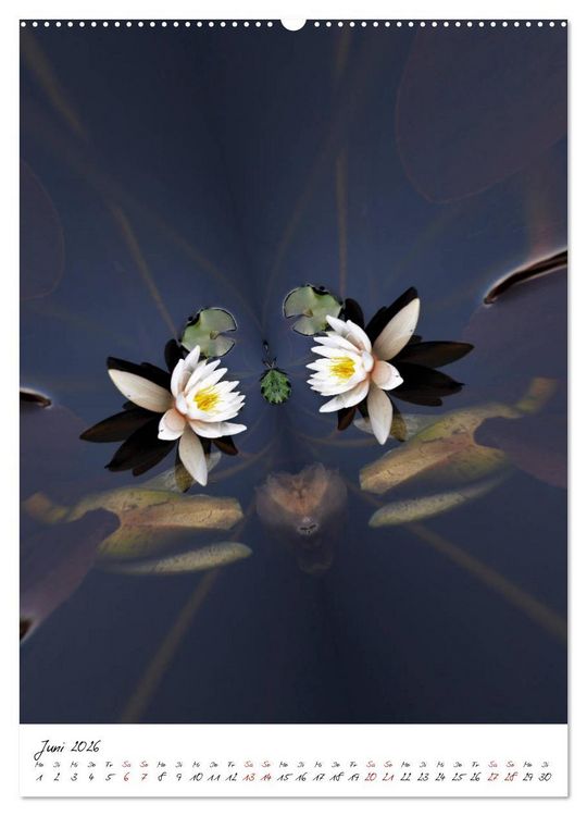 Produktbild: Durchschnittlich - Verzauberte Flora (Wandkalender 2026 DIN A2 hoch), CALVENDO Monatskalender