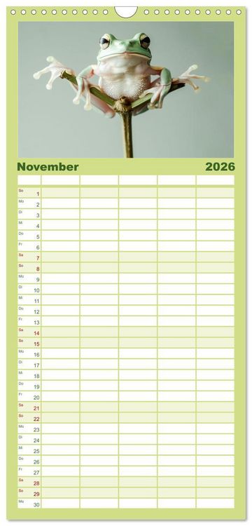 Produktbild: Familienplaner 2026 - Lustige Amphibienbande mit 5 Spalten (Wandkalender, 21 x 45 cm) CALVENDO