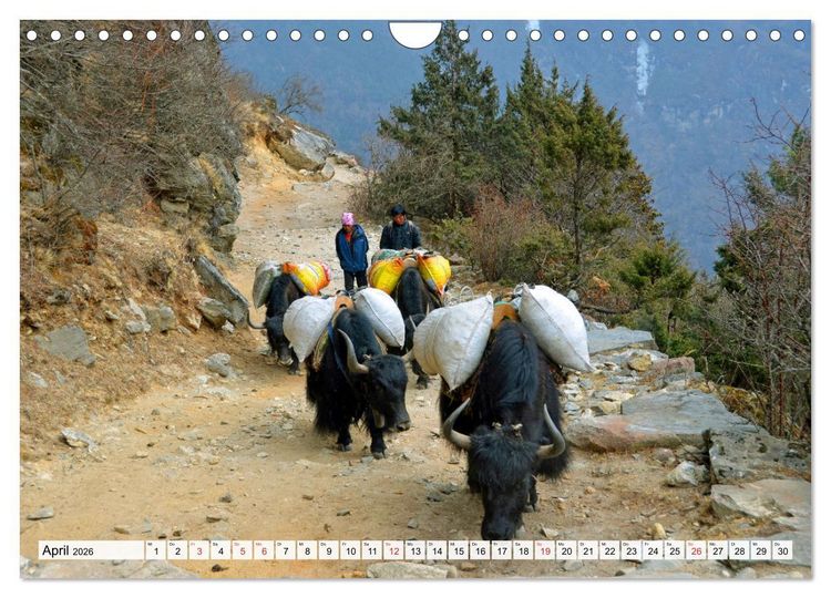 Produktbild: Traumtrekking in NEPAL (Wandkalender 2026 DIN A4 quer), CALVENDO Monatskalender