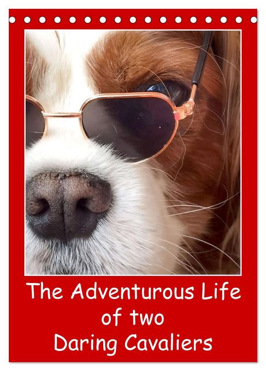 Produktbild: The Adventurous Life of two Daring Cavaliers (Desk Calendar 2026 DIN A5 portrait), CALVENDO 12 Month DeskCalendar