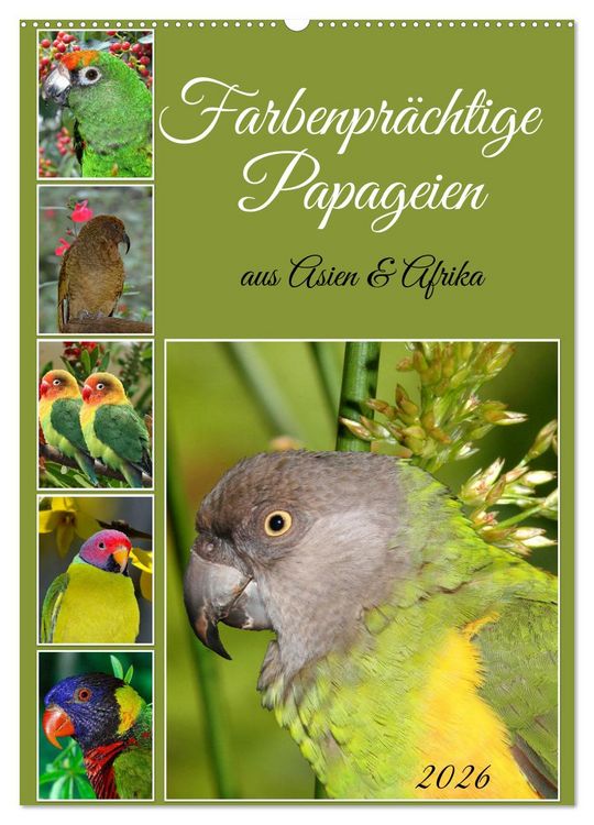 Produktbild: Farbenpr&auml;chtige Papageien aus Asien und Afrika (Wandkalender 2026 DIN A2 hoch), CALVENDO Monatskalender