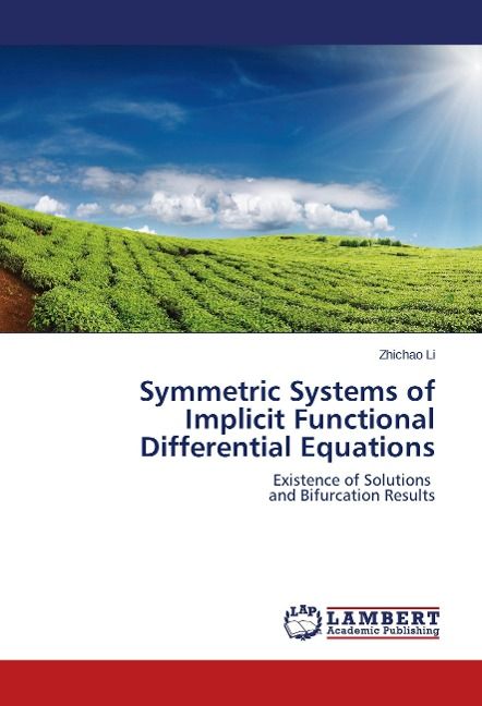 Produktbild: Li, Z: Symmetric Systems of Implicit Functional Differential