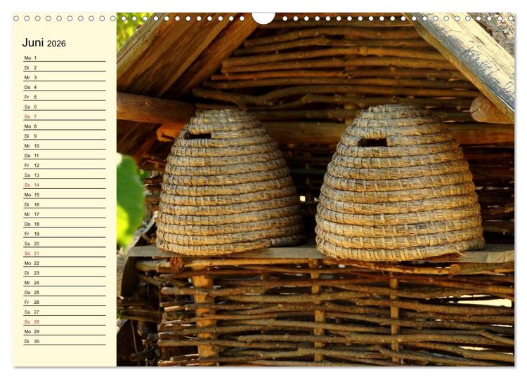 Produktbild: Flei&szlig;ige Bienen. Von der Bl&uuml;te bis zum Honig (Wandkalender 2026 DIN A3 quer), CALVENDO Monatskalender
