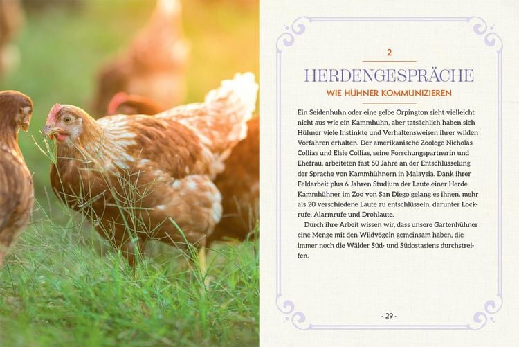 Produktbild: How to Read a Chicken's Mind