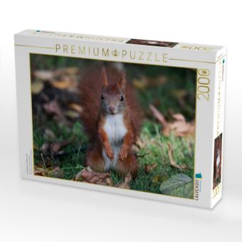 Produktbild: Possierliches Eichh&ouml;rnchen (Puzzle)
