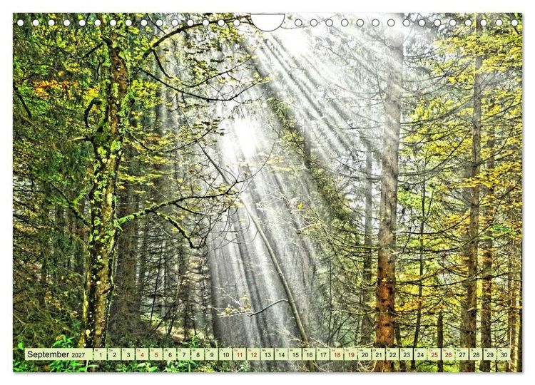 Produktbild: Verwunschene Waldtr&auml;ume: Ein Kalender voller Magie (Wandkalender 2027 DIN A4 quer), CALVENDO Monatskalender