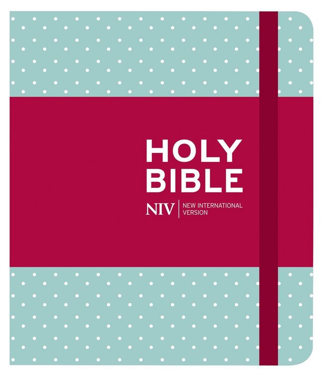 Produktbild: NIV Journalling Mint Polka Dot Cloth Bible