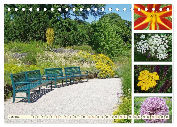 Produktbild: Im Hermannshof - Ein Traumgarten in Weinheim (Tischkalender 2026 DIN A5 quer), CALVENDO Monatskalender