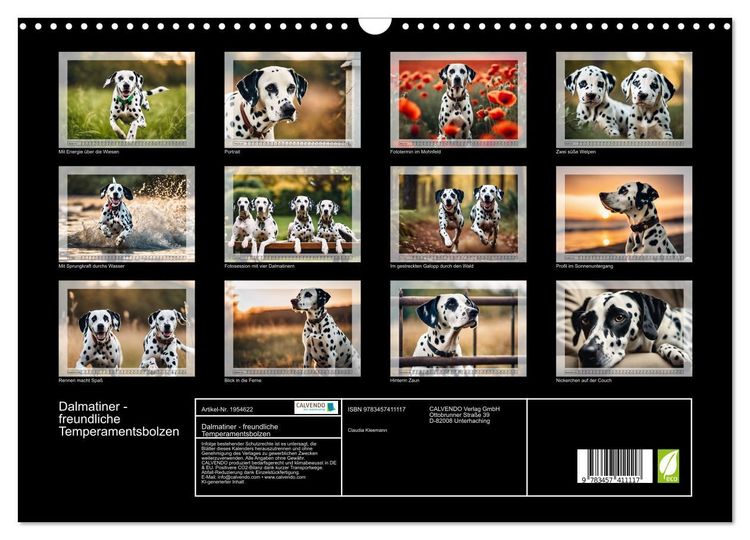 Produktbild: Dalmatiner - freundliche Temperamentsbolzen (Wandkalender 2026 DIN A3 quer), CALVENDO Monatskalender
