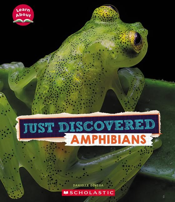 Produktbild: Just Discovered Amphibians (Learn About: Animals)