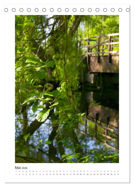 Produktbild: Impressionen aus unserem Wald (Tischkalender 2026 DIN A5 hoch), CALVENDO Monatskalender