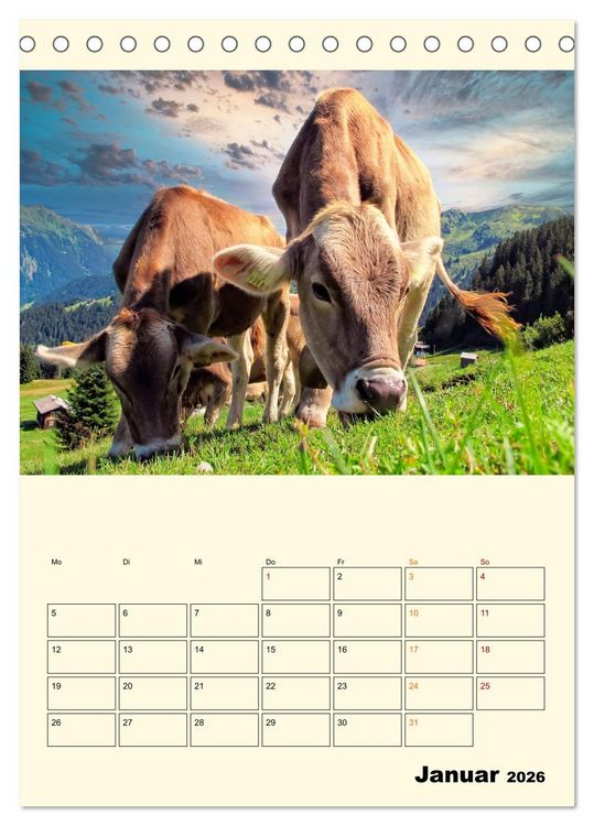 Produktbild: Gl&uuml;ckliche Bergk&uuml;he (Tischkalender 2026 DIN A5 hoch), CALVENDO Monatskalender