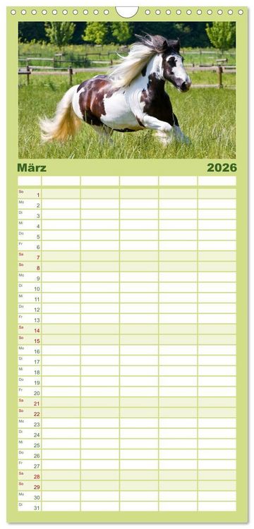 Produktbild: Familienplaner 2026 - Irish Tinker mit 5 Spalten (Wandkalender, 21 x 45 cm) CALVENDO